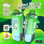 Bang Blaze 100000 Puffs 6in1|6フレーバー切替・850mAh・Type-C充電 - 画像 (8)