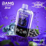 Bang Leader Stoll 120K 使い捨てVAPE|120,000パフ・650mAh・Type-C・0%/2%/3%/5% - 画像 (6)