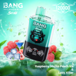 Bang Leader Stoll 120K 使い捨てVAPE|120,000パフ・650mAh・Type-C・0%/2%/3%/5% - 画像 (9)