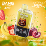 Bang Leader Stoll 120K 使い捨てVAPE|120,000パフ・650mAh・Type-C・0%/2%/3%/5% - 画像 (11)