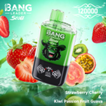 Bang Leader Stoll 120K 使い捨てVAPE|120,000パフ・650mAh・Type-C・0%/2%/3%/5% - 画像 (12)