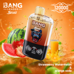 Bang Leader Stoll 120K 使い捨てVAPE|120,000パフ・650mAh・Type-C・0%/2%/3%/5% - 画像 (13)