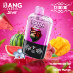 Bang Leader Stoll 120K 使い捨てVAPE|120,000パフ・650mAh・Type-C・0%/2%/3%/5% - 画像 (15)