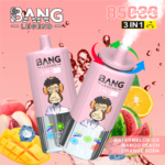 Bang Legend 85000 Puffs 3in1|3フレーバー切替・850mAh