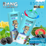 Bang Legend 85000 Puffs 3in1|3フレーバー切替・850mAh - 画像 (14)