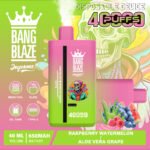 Bang Blaze 40000 Puffs｜2フレーバー切替・650mAh・Type-C充電の40Kモデル - 画像 (15)