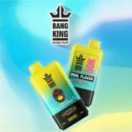 Bang King 50000 Puffs Dual Flavor|50ml・残量表示付き2味モデル