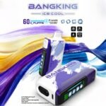 Bang King 60000 Puffs Ice Cool|クアッドメッシュ・25ml・60,000パフ - 画像 (6)