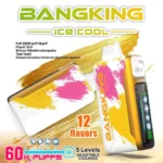 Bang King 60000 Puffs Ice Cool|クアッドメッシュ・25ml・60,000パフ - 画像 (7)