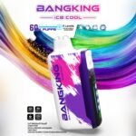 Bang King 60000 Puffs Ice Cool|クアッドメッシュ・25ml・60,000パフ - 画像 (10)