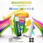 Bang King 60000 Puffs Ice Cool|クアッドメッシュ・25ml・60,000パフ - 画像 (12)