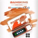 Bang King 60000 Puffs Ice Cool|クアッドメッシュ・25ml・60,000パフ - 画像 (3)