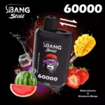 Bang Leader Stoll 60000 Puffs|850mAh・デュアルメッシュ・60,000パフ - 画像 (9)