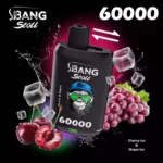 Bang Leader Stoll 60000 Puffs|850mAh・デュアルメッシュ・60,000パフ - 画像 (8)