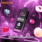 Merry Mi Mecha Pro 35000 Puffs｜28ml・1150mAh・Turboモード搭載 - 画像 (18)