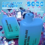 Bang Blaze BC 5000|13ml・600mAh・メッシュコイルの5,000パフ - 画像 (11)