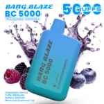 Bang Blaze BC 5000|13ml・600mAh・メッシュコイルの5,000パフ - 画像 (10)