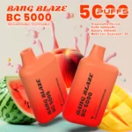 Bang Blaze BC 5000|13ml・600mAh・メッシュコイルの5,000パフ - 画像 (6)