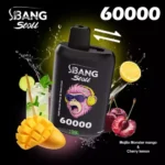Bang Leader Stoll 60K 2フレーバー使い捨てVAPE|60,000パフ・Type-C・デュアルメッシュ・0%/2%/3%/5% - 画像 (3)