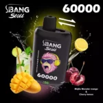 Bang Leader Stoll 60K 2フレーバー使い捨てVAPE|60,000パフ・Type-C・デュアルメッシュ・0%/2%/3%/5% - 画像 (4)