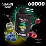 Bang Leader Stoll 60K 2フレーバー使い捨てVAPE|60,000パフ・Type-C・デュアルメッシュ・0%/2%/3%/5% - 画像 (11)