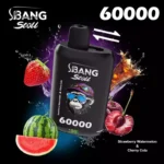 Bang Leader Stoll 60K 2フレーバー使い捨てVAPE|60,000パフ・Type-C・デュアルメッシュ・0%/2%/3%/5% - 画像 (12)
