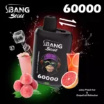 Bang Leader Stoll 60K 2フレーバー使い捨てVAPE|60,000パフ・Type-C・デュアルメッシュ・0%/2%/3%/5% - 画像 (13)