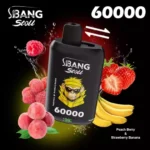 Bang Leader Stoll 60K 2フレーバー使い捨てVAPE|60,000パフ・Type-C・デュアルメッシュ・0%/2%/3%/5% - 画像 (15)
