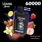 Bang Leader Stoll 60K 2フレーバー使い捨てVAPE|60,000パフ・Type-C・デュアルメッシュ・0%/2%/3%/5% - 画像 (8)
