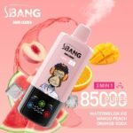 Bang Leader 85K 3in1 使い捨てVAPE|850mAh・Type-C・スマート表示・0%/2%/3%/5% - 画像 (9)
