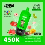 Bang Leader 450K 15in1 使い捨てVAPE|450,000パフ・850mAh・Type-C・クアッドメッシュ - 画像 (6)