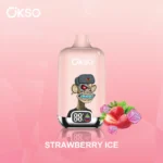 OKSO Digital 12000 Puffs｜25ml・500mAh・スマートディスプレイ搭載 - 画像 (8)