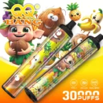 QQ Bang 30K 使い捨てVAPE|30,000パフ・2フレーバー切替・Type-C・0%/2%/3%/5% - 画像 (6)
