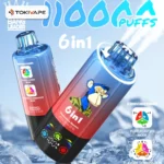 Bang Leader 110000 Puffs 6in1|トリプルメッシュ・6フレーバー切替
