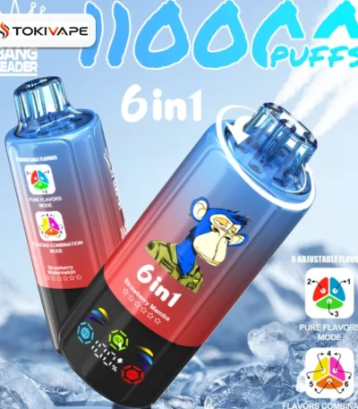 Bang Leader 110000 Puffs 6in1｜トリプルメッシュ・6フレーバー切替