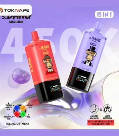 Bang Leader 450K 15in1 使い捨てVAPE｜450,000パフ・850mAh・Type-C・クアッドメッシュ