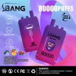 Bang Leader 80K 使い捨てVAPE｜3ポッド・850mAh・1.0Ωメッシュ・0％/2％/3％/5％ - 画像 (6)
