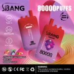 Bang Leader 80K 使い捨てVAPE｜3ポッド・850mAh・1.0Ωメッシュ・0％/2％/3％/5％ - 画像 (13)